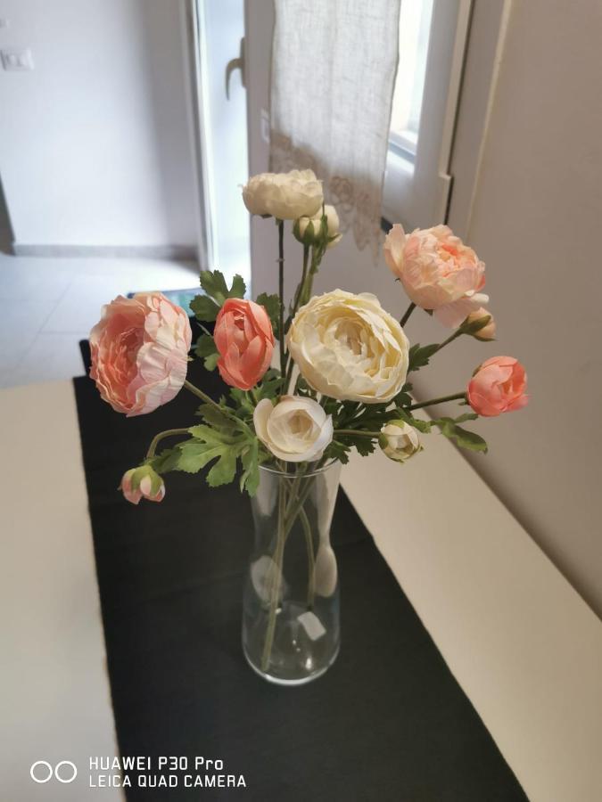 카타니아 Il Giardino In Centro 아파트 외부 사진